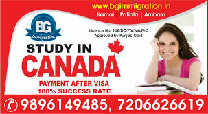 BG Immigration