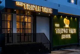 The Triple Tree Hotel