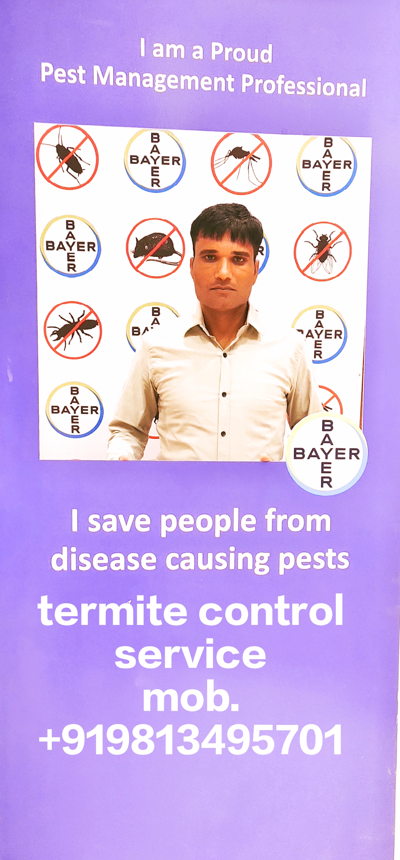termite control service